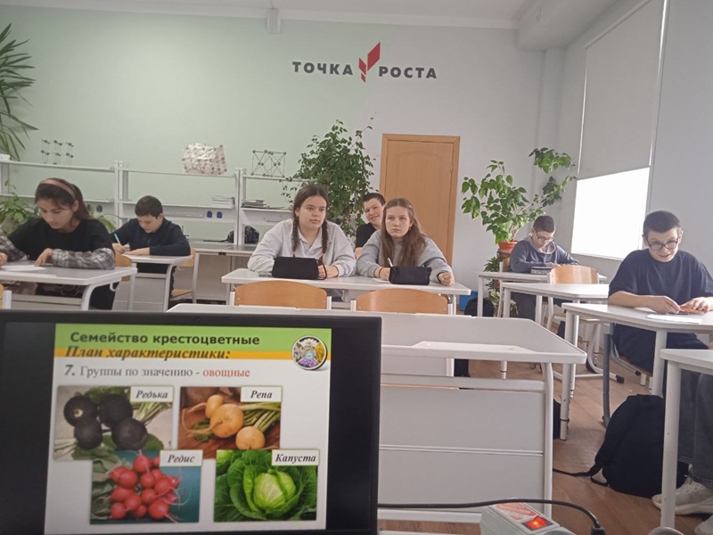 Дистанционное занятие с преподавателями  Калужского филиала РГАУ МСХА имени К. А. Тимирязева..