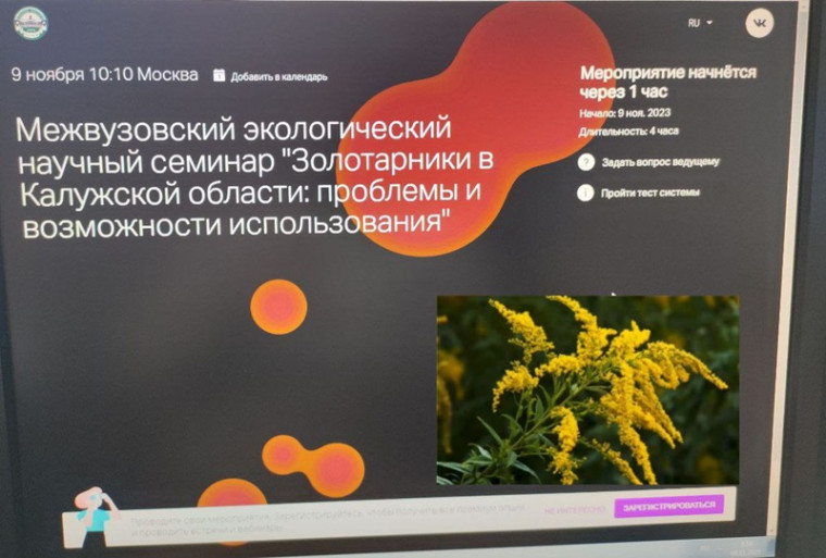 "Золотарники в Калужской области: проблемы и возможности использования"..