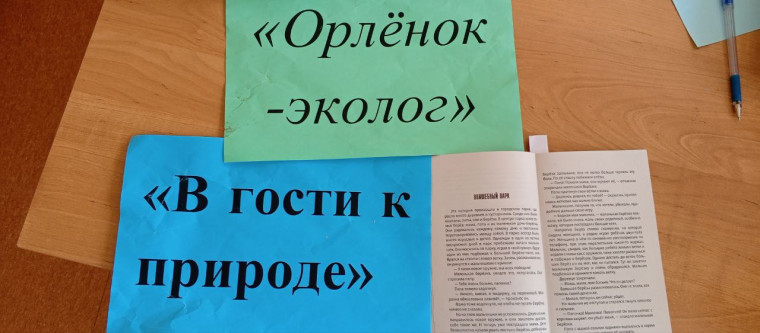 "В гости к природе".